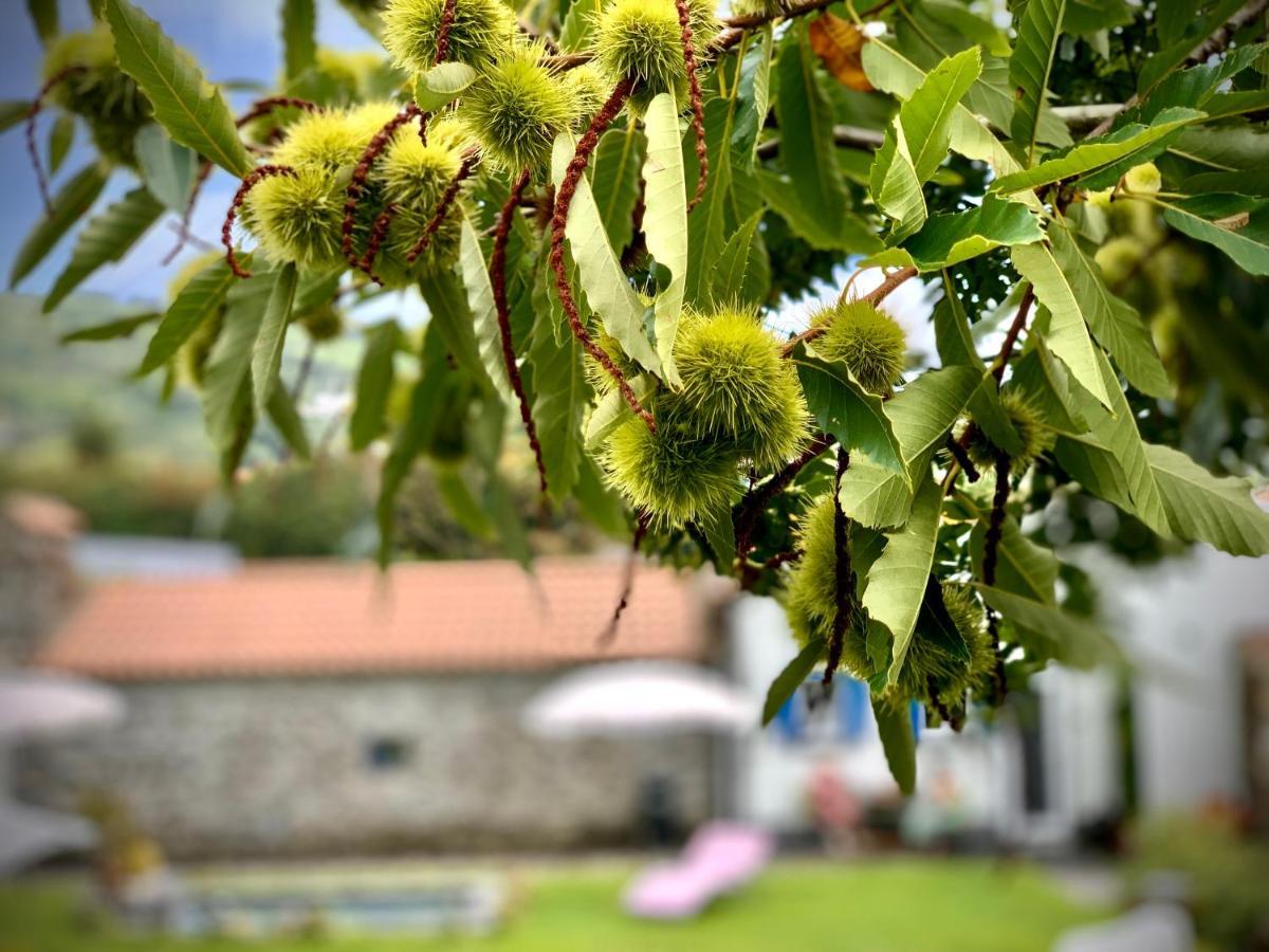 Casa Do Acor - Villaverde Azores Feteiras 외부 사진