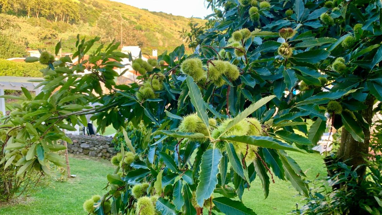 Casa Do Acor - Villaverde Azores Feteiras 외부 사진